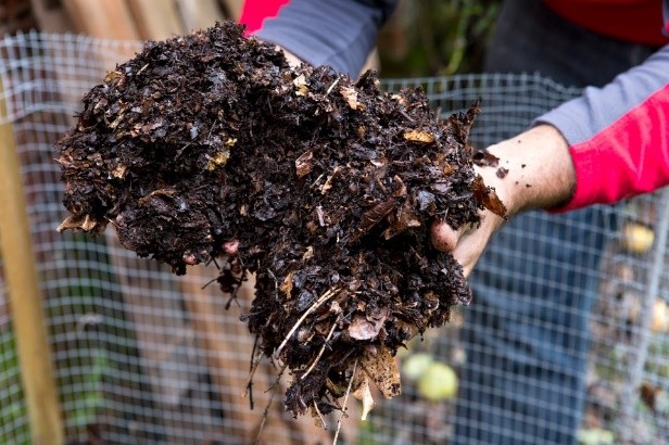 Renew and Reuse Potting Compost